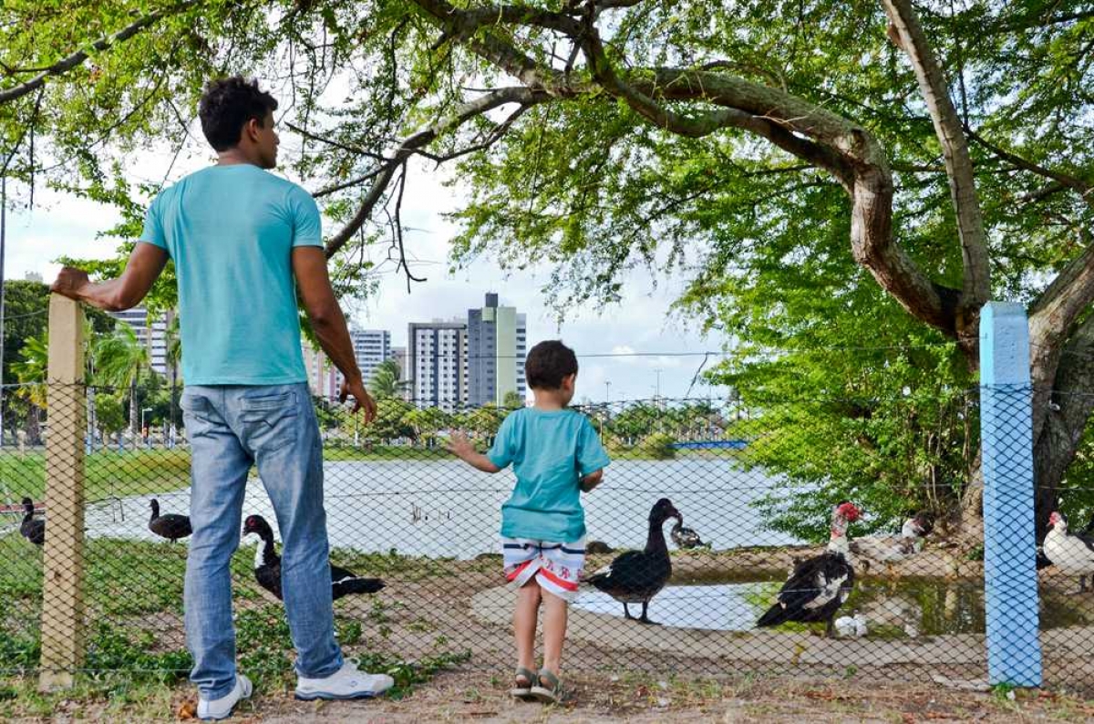 PIQUENIQUE NO PARQUE Resolução problema de logica nivel normal