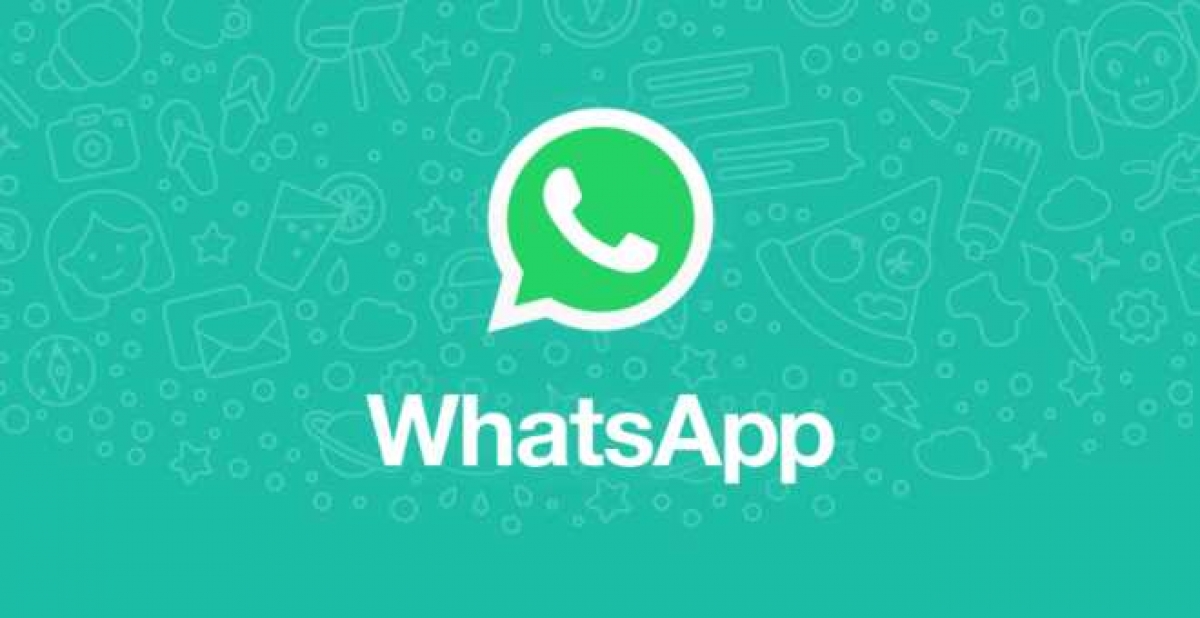 Como converter vídeos recebidos no WhatsApp para GIF - Olhar Digital