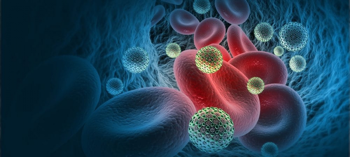 Composto antiviral bloqueia a entrada do vírus da Covid-19 nas células (Foto: Olhar Digital)