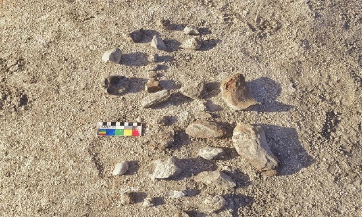 Fósseis encontrados em Gararu (Foto: MPF)