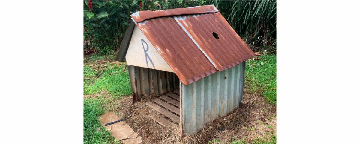A casinha do cão Roky, na Costa Rica, com o buraco causado por um meteorito: item está em leilão por casa londrina (Imagem: Christie´s Auction House/ Divulgação)