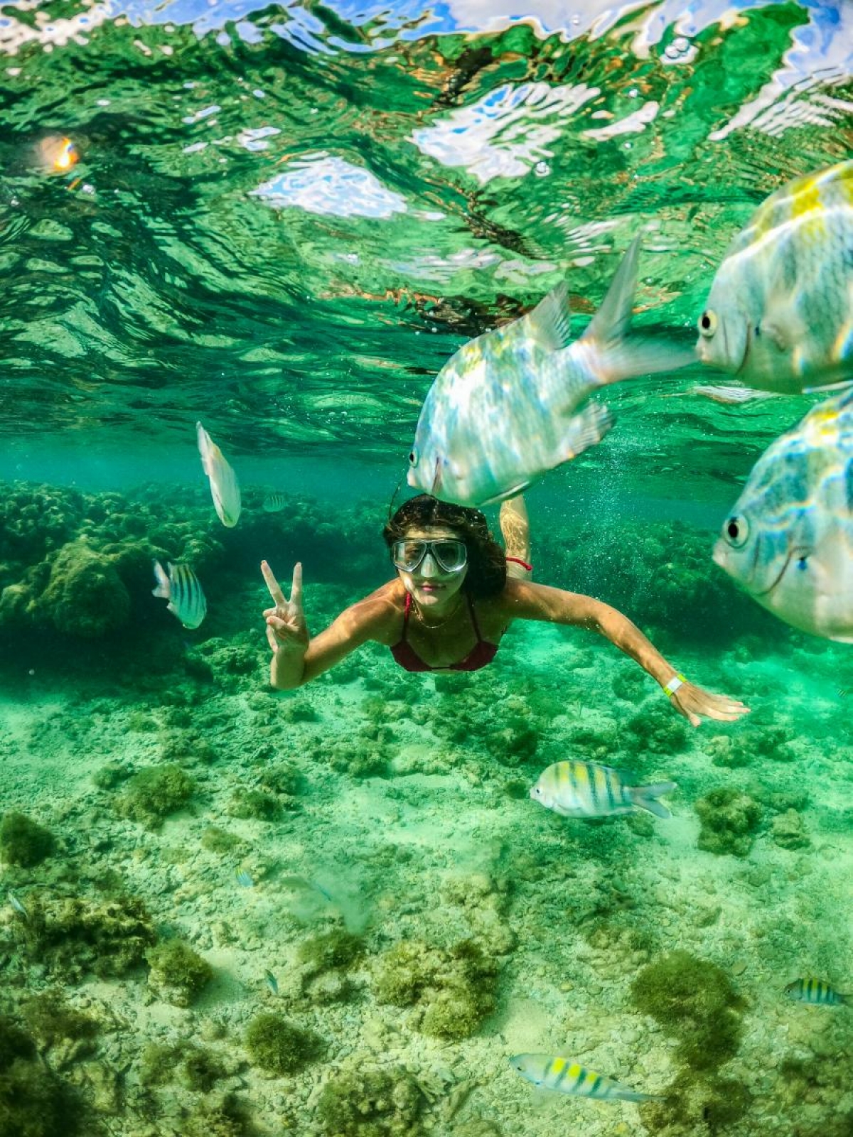 Em Alagoas é possível fazer passeios até as piscinas naturais em praias como Francês, Pajuçara, Milagres, Maragogi, entre outras (Foto: Arquivo Pessoal)