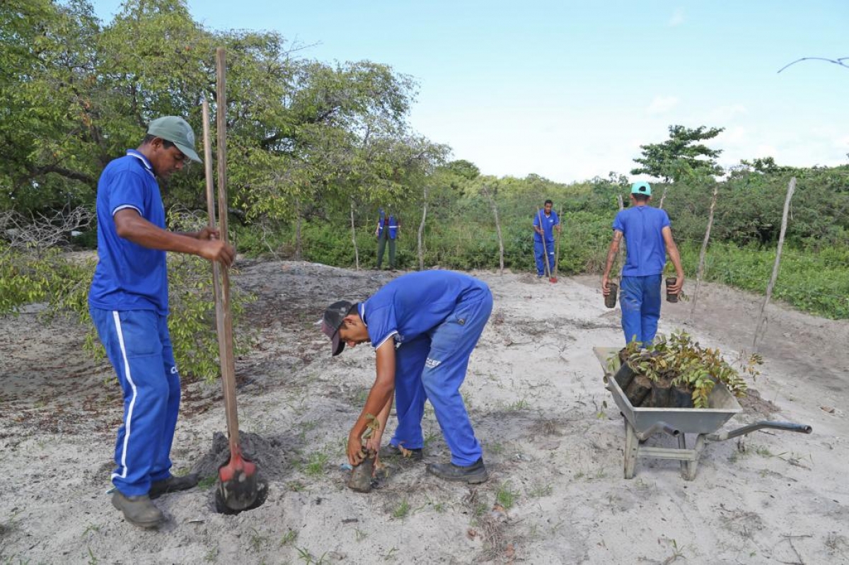 Prefeitura de Aracaju realiza plantio de 200 mudas na Reserva Extrativista Mangabeiras - Foto: Marcelle Cristinne | Prefeitura de Aracaju