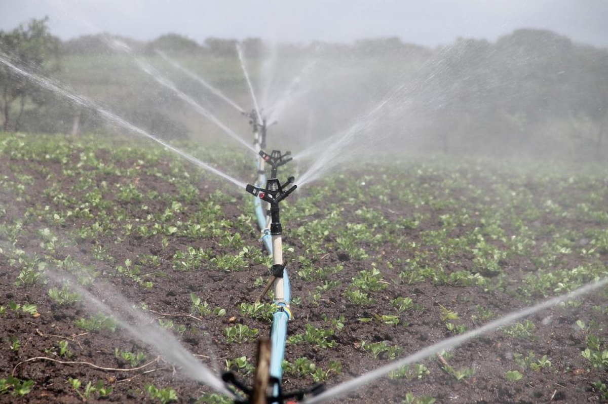 Irrigantes e aquicultores precisam atualizar cadastro para manter desconto na conta de luz - Foto: Pixabay