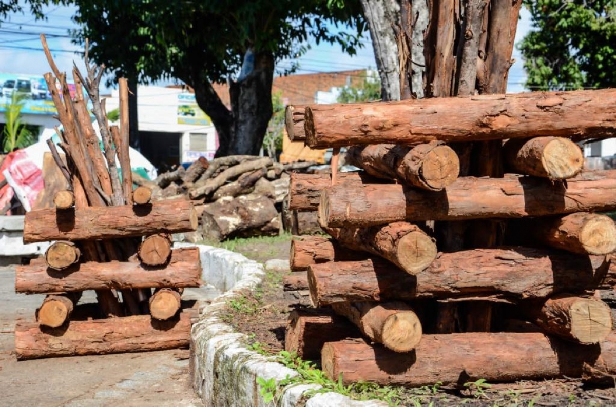 Comerciantes de fogueira e milho devem solicitar uso do espaço público à Emsurb - Foto de arquivo: Felipe Goettenauer | Prefeitura de Aracaju