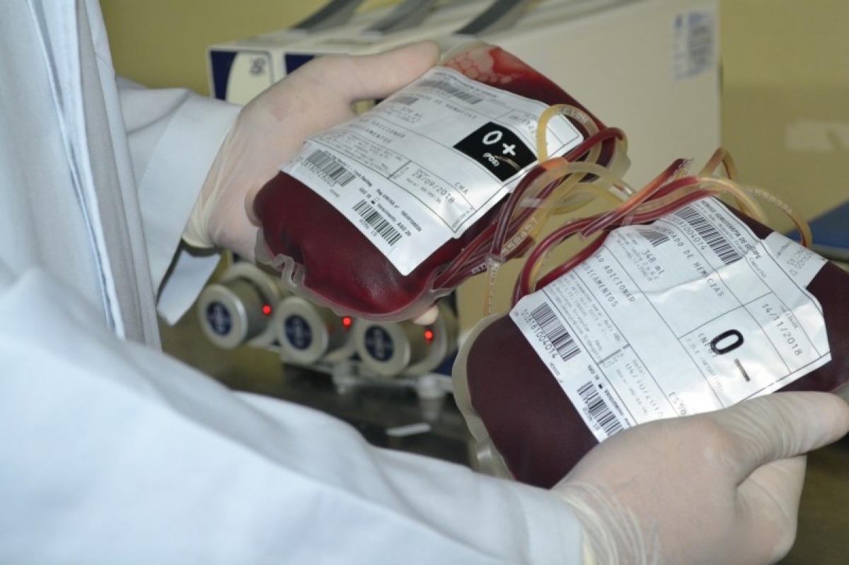 Hematologista alerta para importância da doação de sangue - Foto de arquivo: Hemose