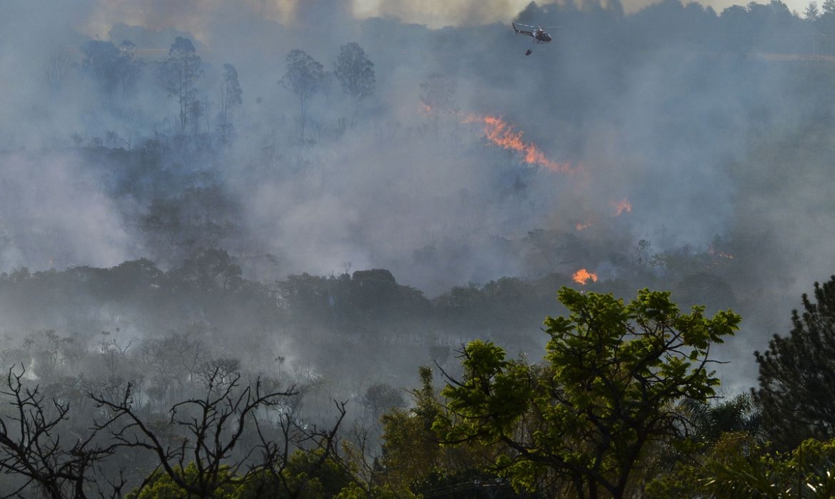 Decreto suspende queimadas em todo território nacional - Foto de arquivo: Valter Campanato | Agência Brasil